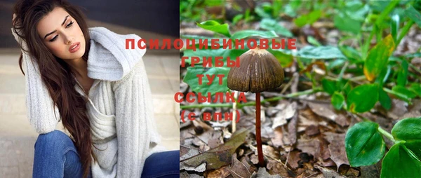 а пвп мука Нягань
