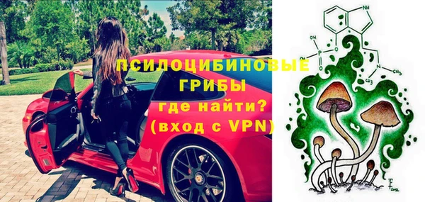 скорость Алзамай